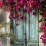 تصميم بدون عنوان 2025 08 05t170544.702